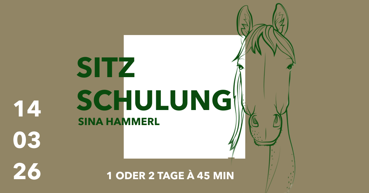 Reitlehrgang Sitzschulung mit Sina Hammerl