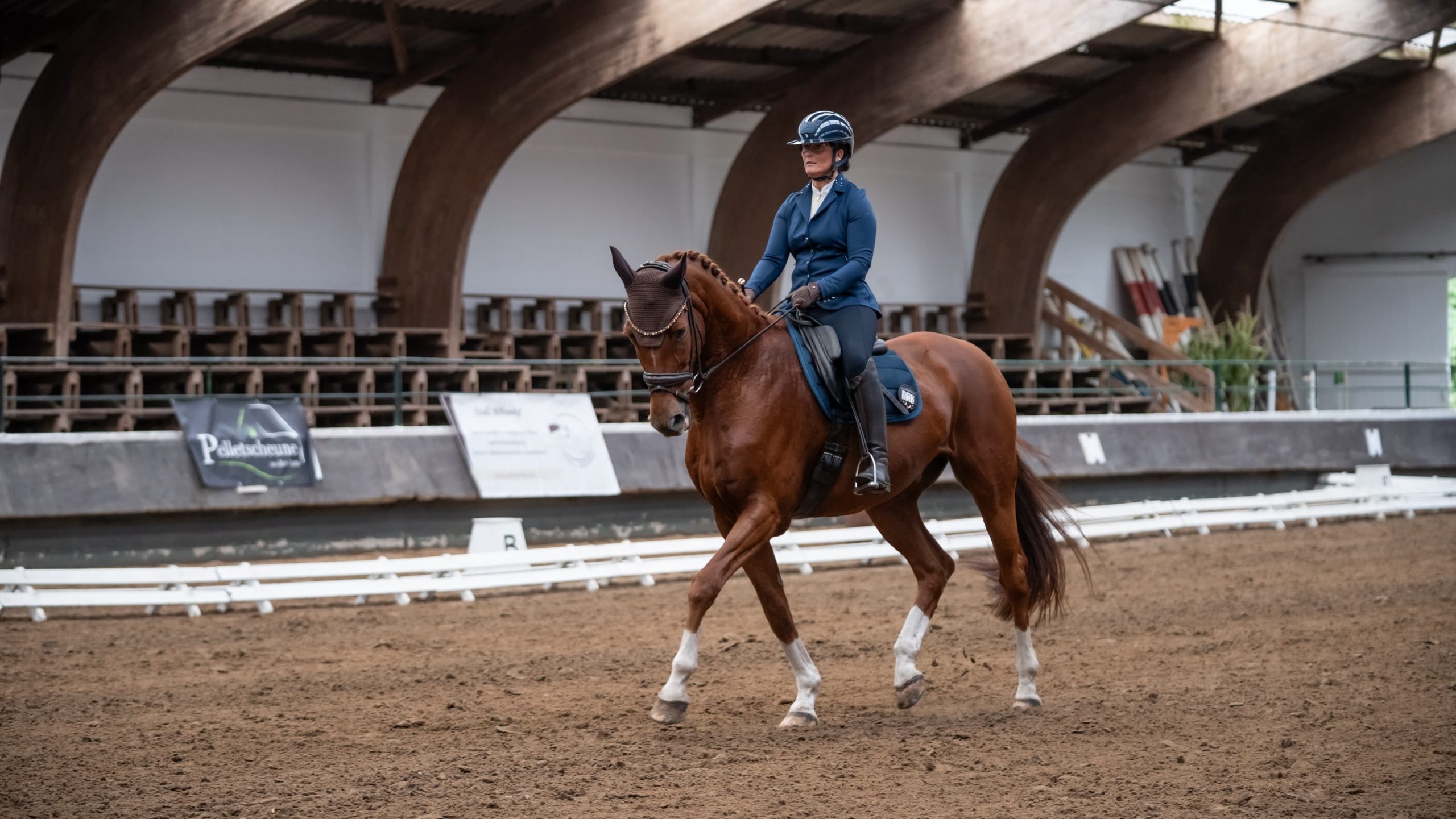 Dressurkurs mit Anouk Lambrecht