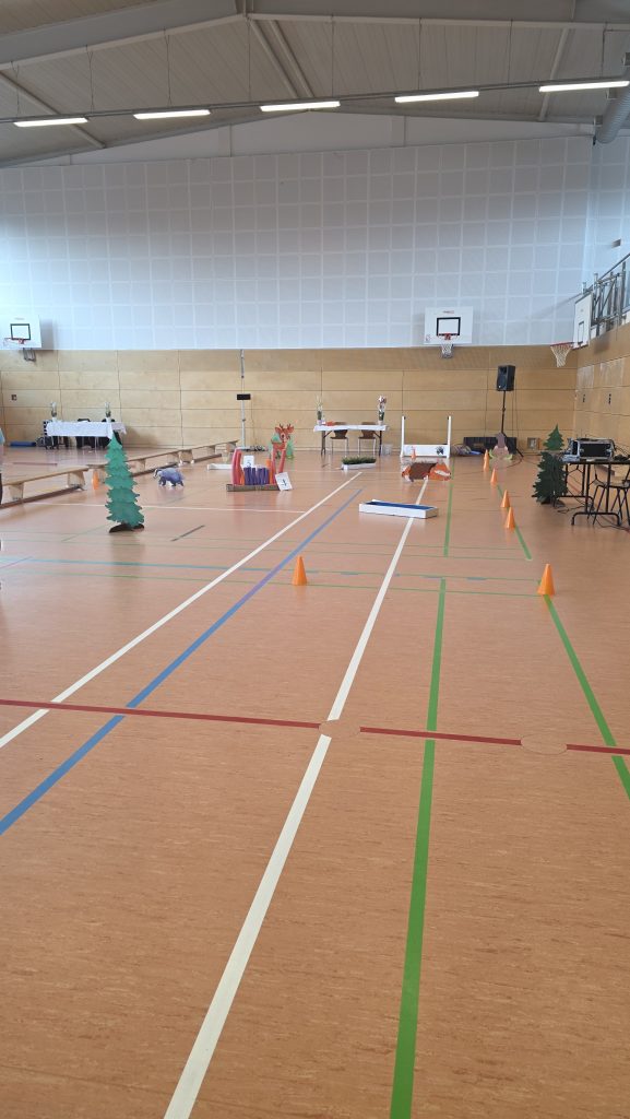 Cross-Parcours beim Poxis Cup 2026 in der Stadtsporthalle Baiersdorf – 
dekorierter Hobby Horsing Turnierplatz mit Waldtieren und Hindernissen