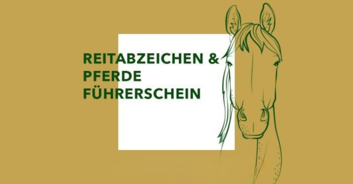 Reitabzeichen und Pferdeführerschein